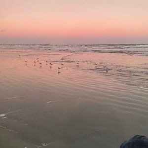 Meet your Posher, Lindsay